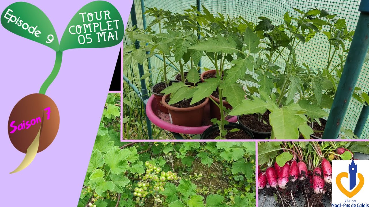🍒S7 - Episode 9 : Tour complet - 5 Mai🍅