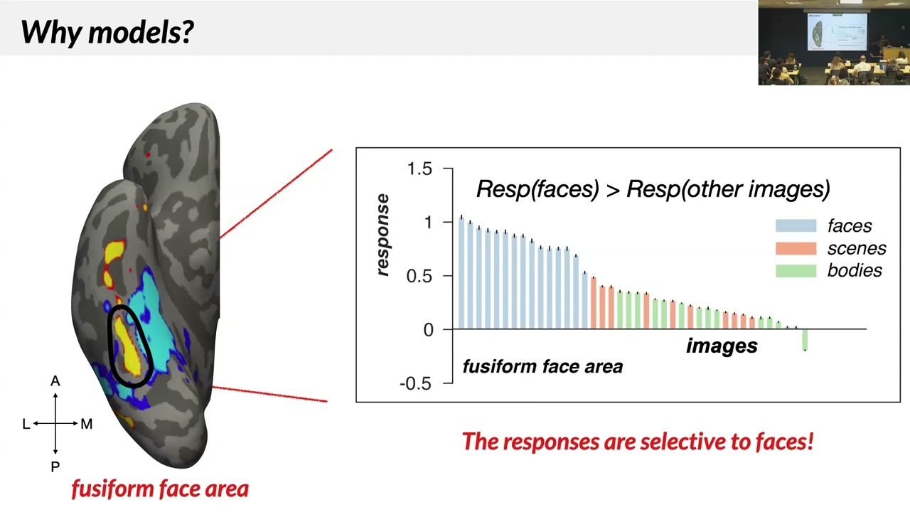 Towards a Computational Account of Human Visual Intelligence