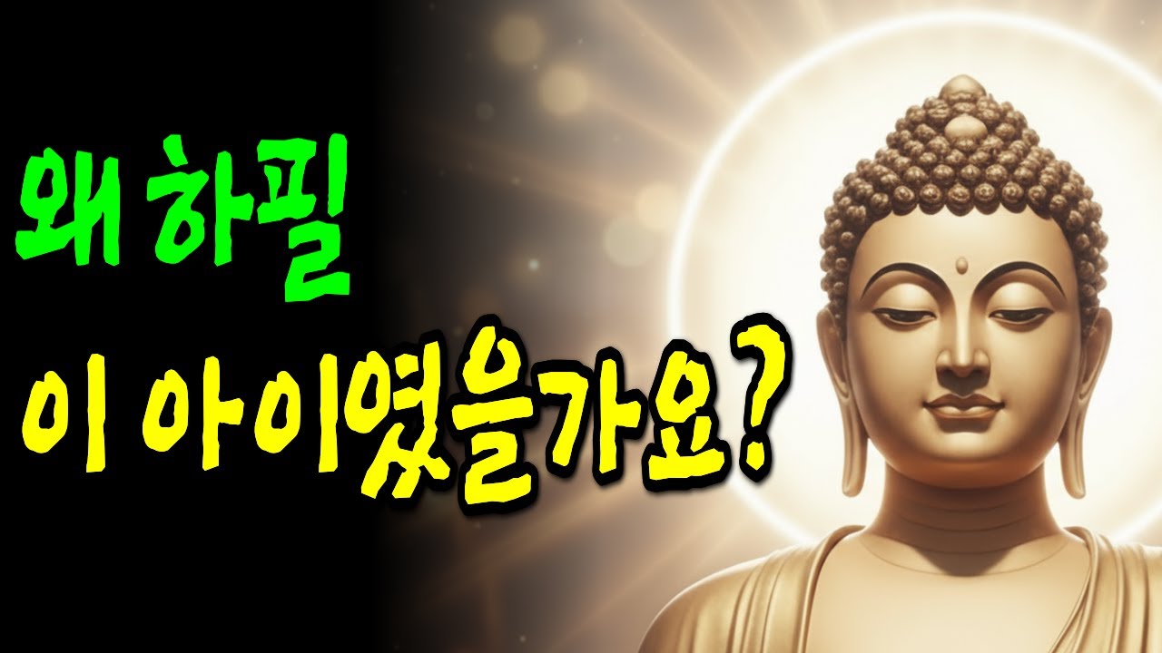 생명을 품게 되는 삶은 스스로 선택되지 않습니다