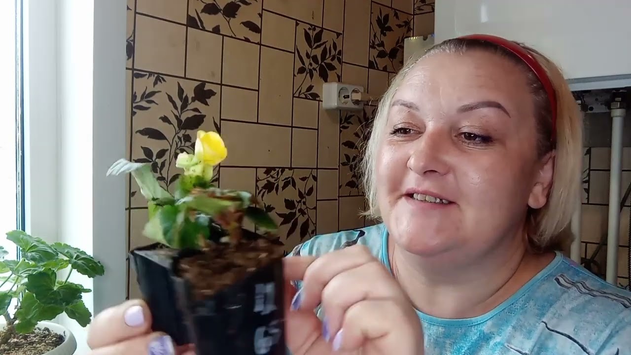 😍Нас не победить!!!Очередная посылка с АгроВиолы.😍