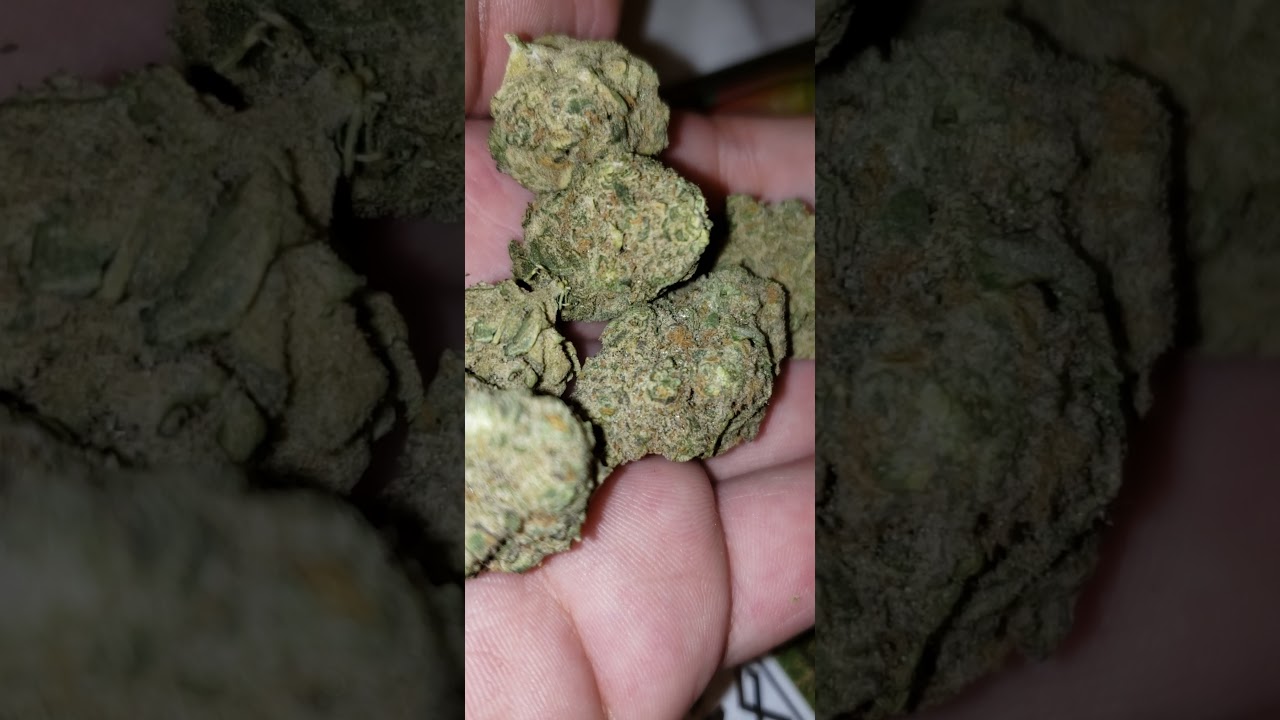 Caps Cut MAC/ Member Berries