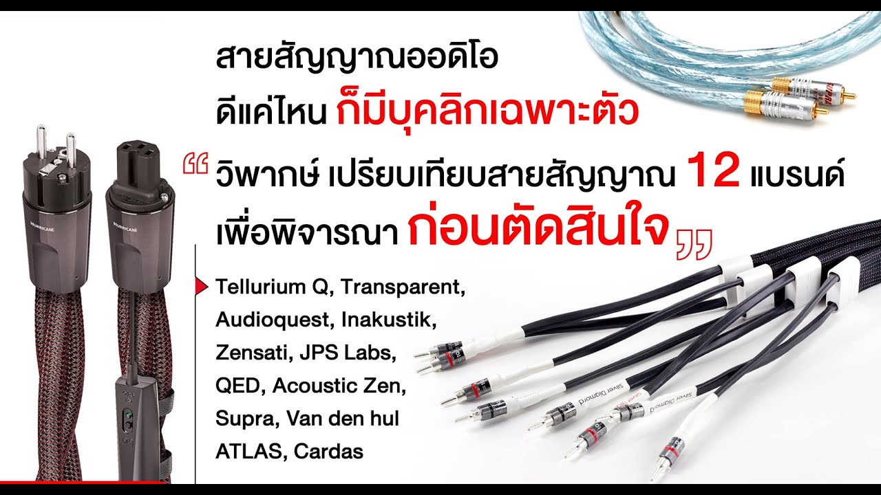 Top Story เรื่องของสายสัญญาณออดิโอ