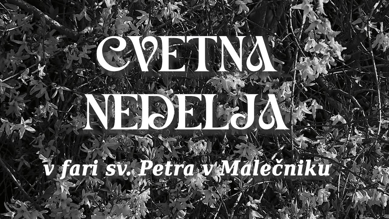 Cvetna nedelja pri fari Sv. Petra v Malečniku