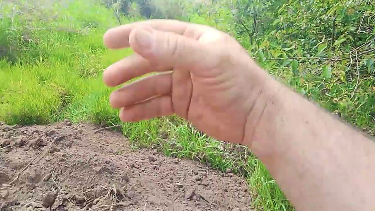 Construindo um sonho primeira parte da terraplanagem da minha chácara #sonhos #chacras 