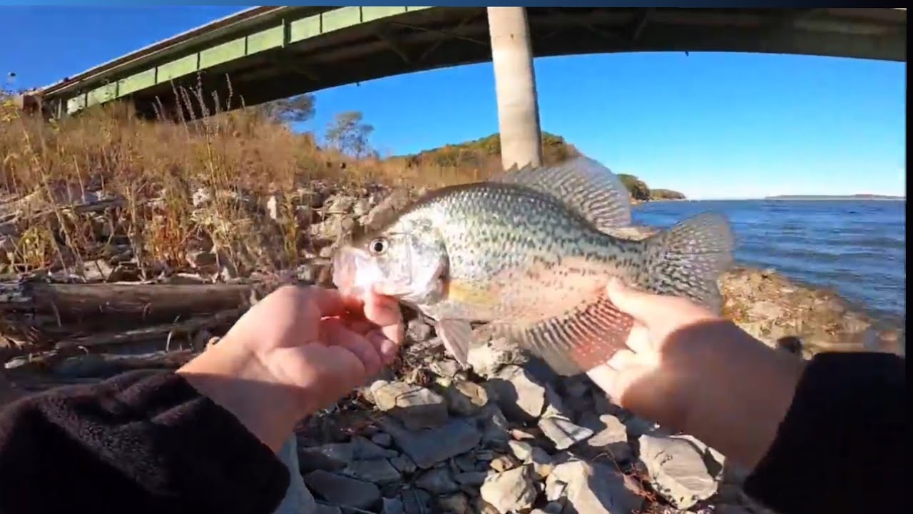 CATCHING FALL HUNGERY WIPERS AND CRAPPIES (BIG SURPRISE FISH)