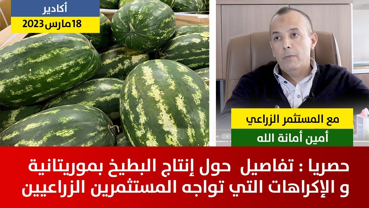 حصريا : تفاصيل حول إنتاج البطيخ بموريتانية و الإكراهات التي تواجه المستثمرين الزراعيين