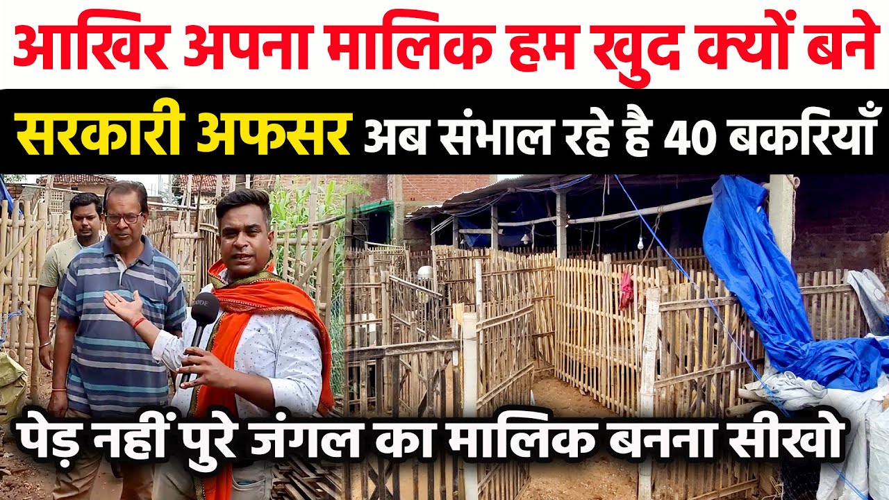 डाक विभाग के Officer रहे सरकारी बाबू का GOAT FARMING🐐इंजीनियर बेटे- पतोहू को भी बकरी पालन में भिड़ाया