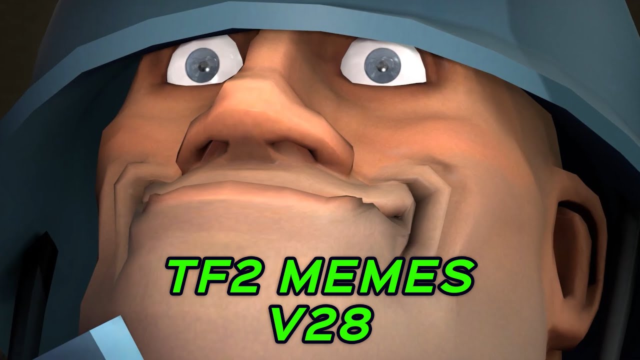 TF2 MEMES V28
