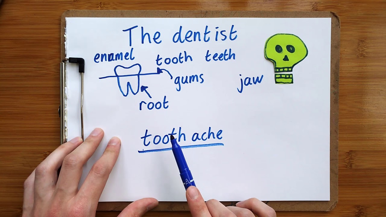 Words I heard at the dentist - basic dental vocabulary