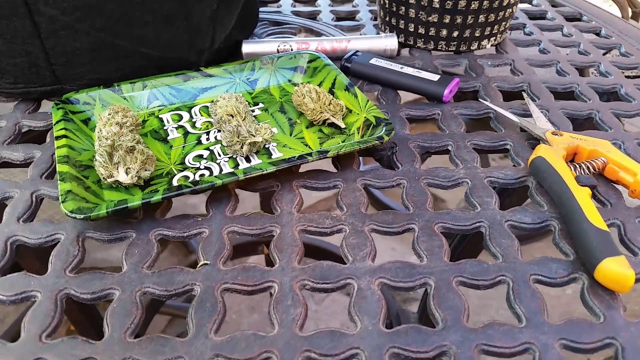 Subcool dank grow...