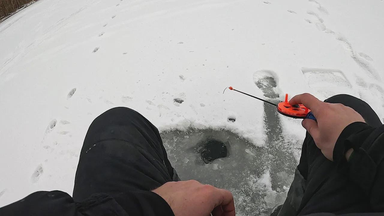 Erstes Eisfischen: Fette Barsche am Dnipro – So läuft der Saisonstart wirklich!