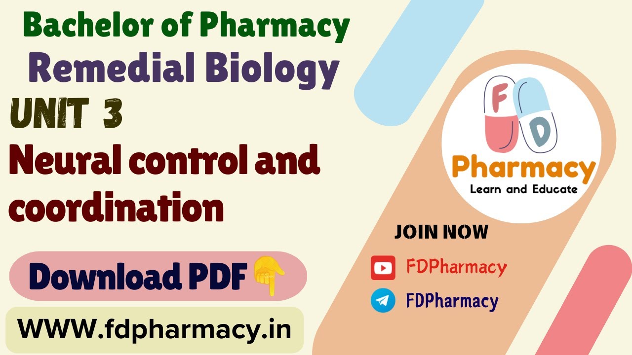 Unit 3 Neural control and coordination Notes | Remedial Biology Notes | B.Pharmacy Notes