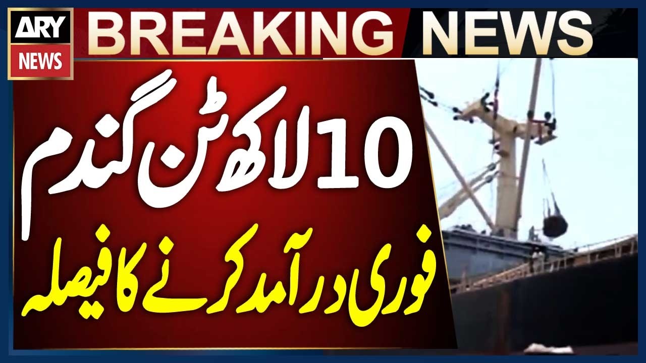 Federal Government Decides to Import 1 Million Tons of Wheat Immediately