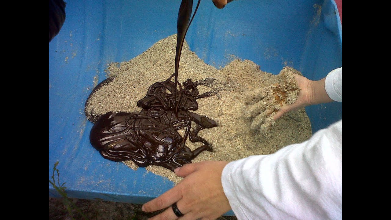 Cómo se elaboran los Concentrados para Nutrición animal - TvAgro por Juan Gonzalo Angel