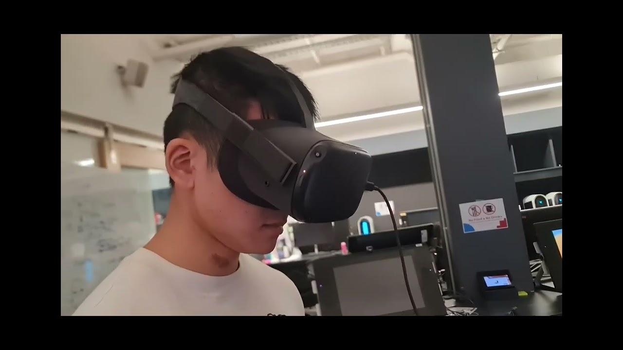 Lotus reflection video