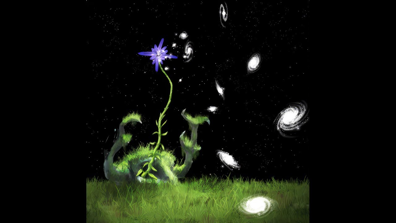 Nassau - OBSI TAPE - VIII