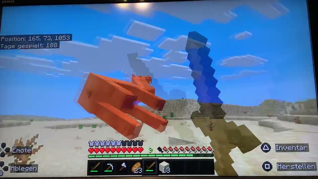 Wir spielen das erste Mal auf dem Server|Minecraft