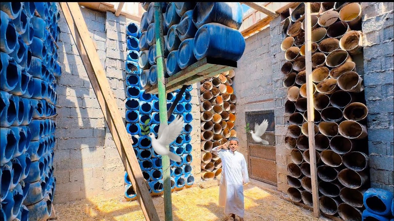 برج الحمام  تنظيف وتعقيم😇👍🕊️🕊️🕊️🕊️🕊️