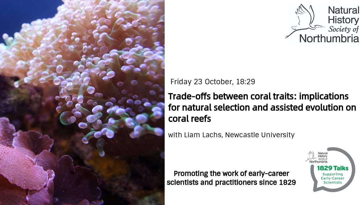 Trade-offs between coral traits - implications for natural selection and assisted evolution