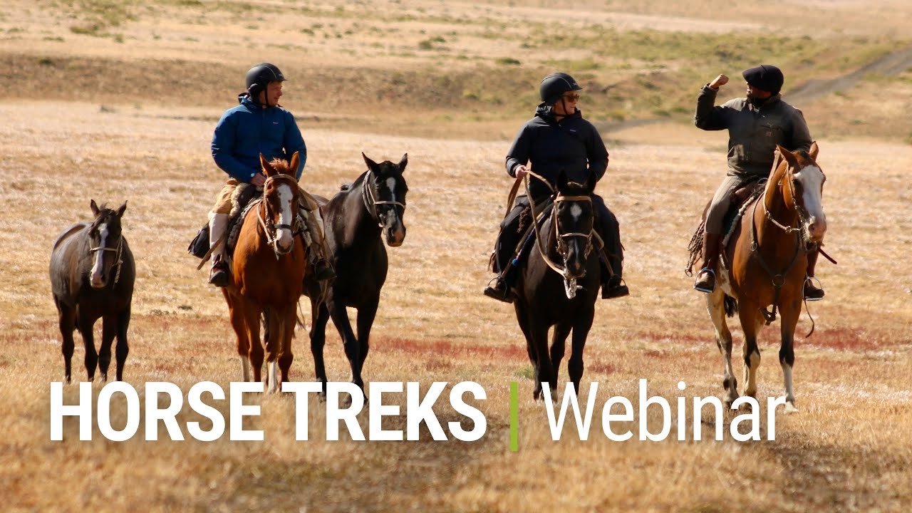 Horse Trekking Insights | Webinar