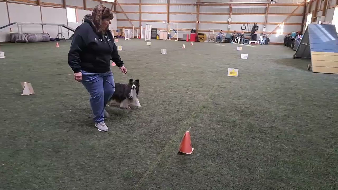 Diamond - Rally Excellent - Course #5 