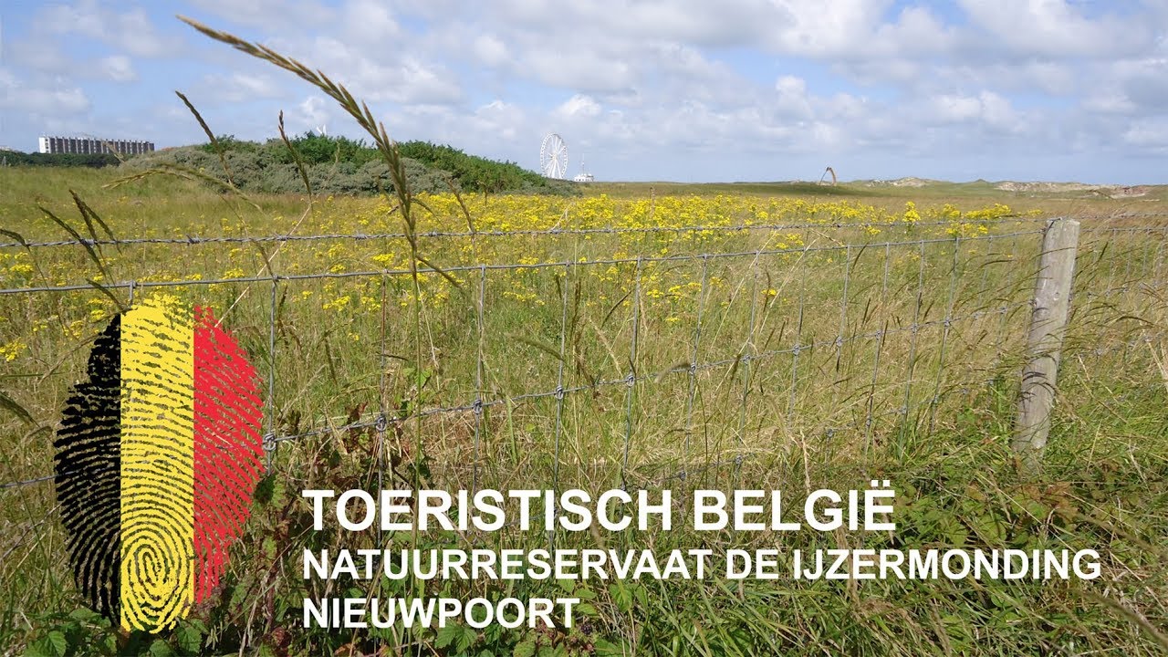 België | Natuurreservaat De IJzermonding | Nieuwpoort