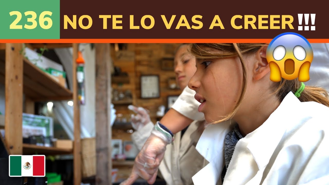 236. 😱😨 NUNCA habíamos visto esto  | ESCUELA MONTESSORI MÉXICO 🇲🇽