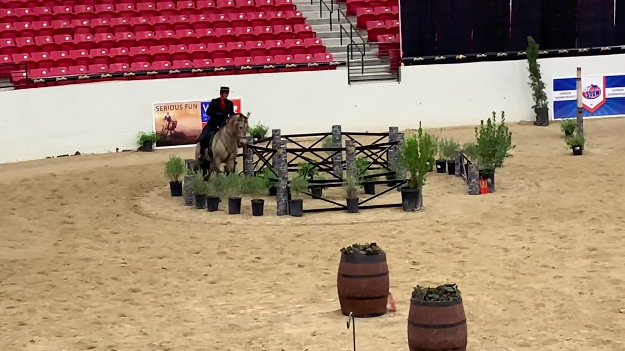 Andalusian World Cup 2019 Advanced (L6) Working Equitation Ease of Handling Cossaco & Jill Barron