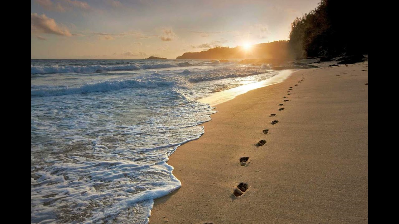 Sainted - Victorious