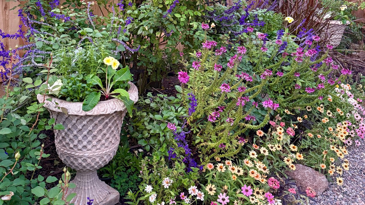 Planting Winter Planters with Snapdragons, Violas & Paperwhites Bulbs