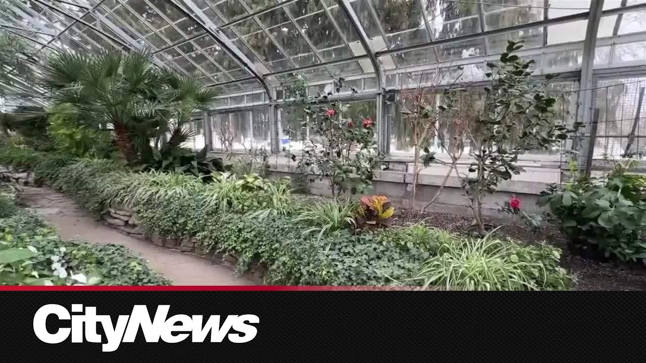 Petition of support launched to expand Allan Gardens