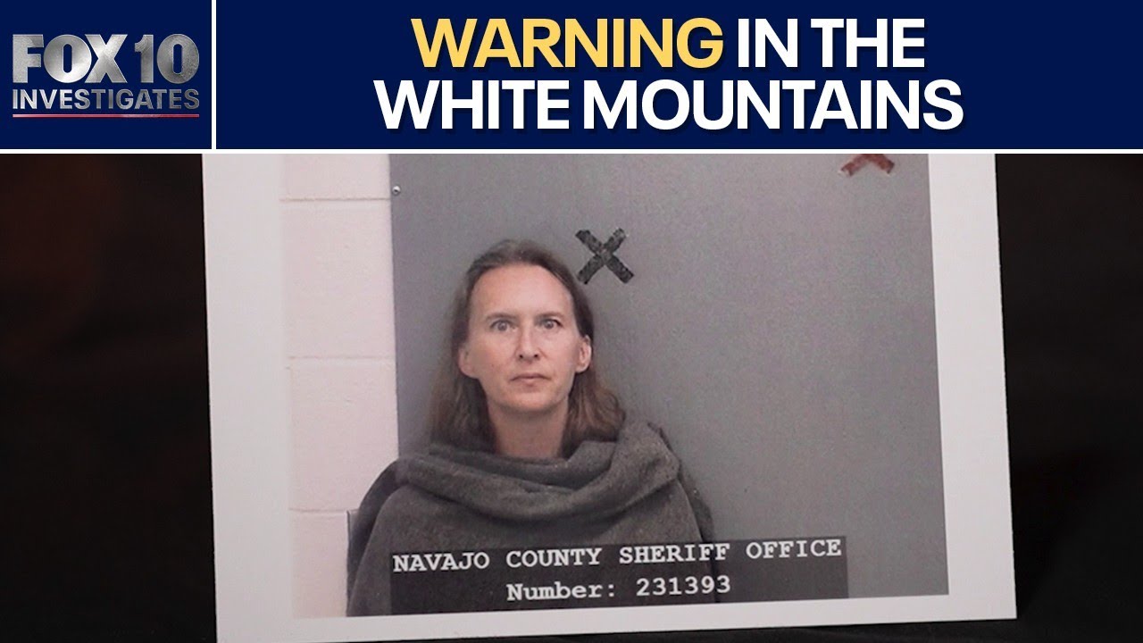 'Failed by the system': Arizona woman's mental health struggles documented months before fatal crash