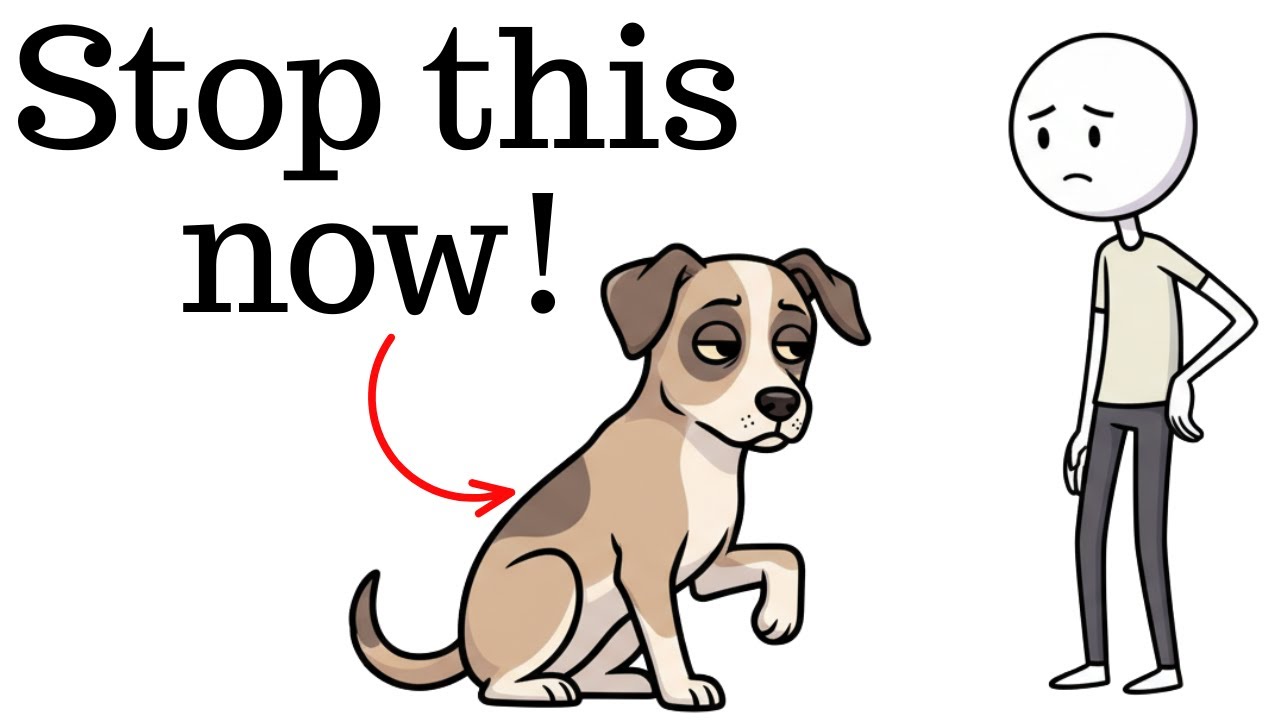 Why We Obey People Who Don’t Deserve It — Explained by a Dog (Thats Not About Dogs)