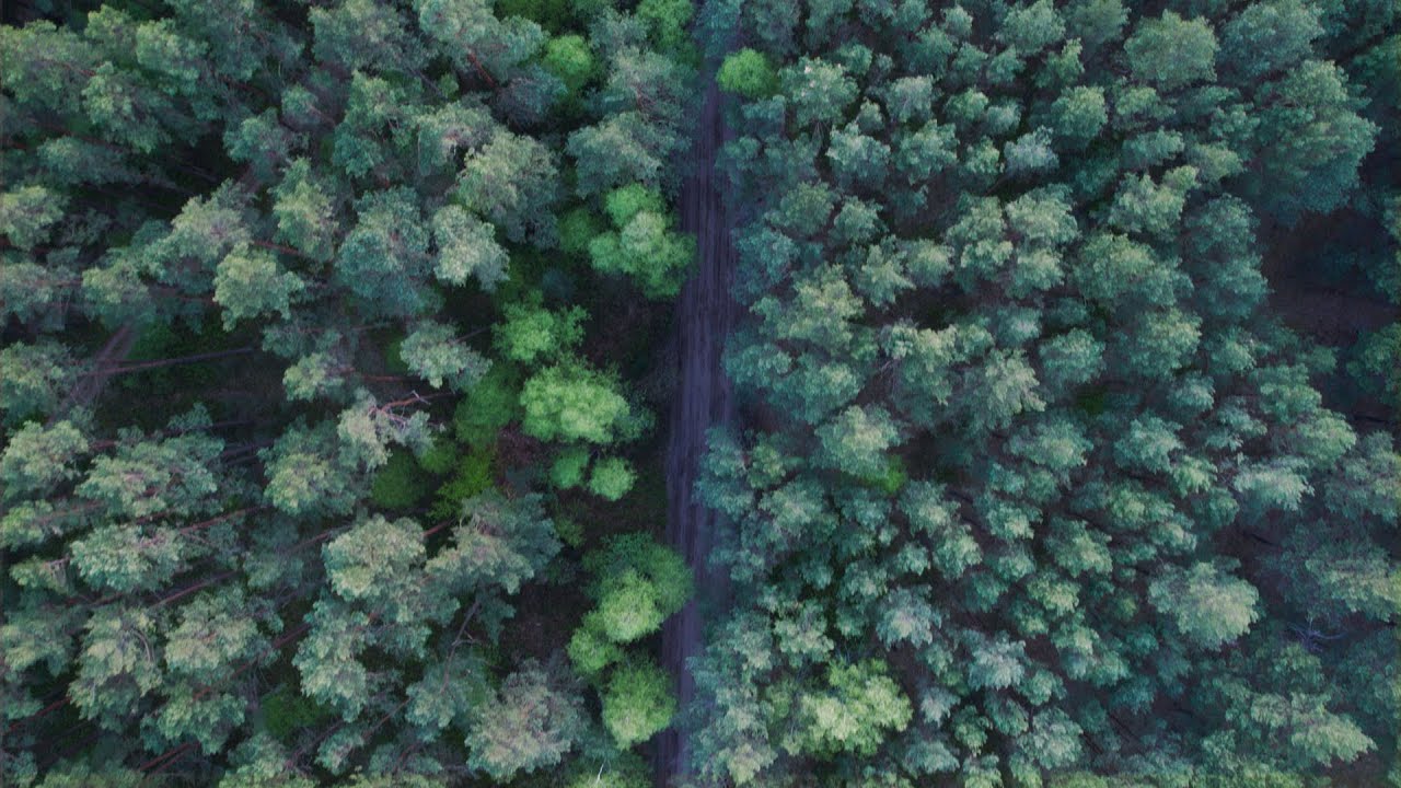 Przebudzenie wiosny na Kaszubach | 4K