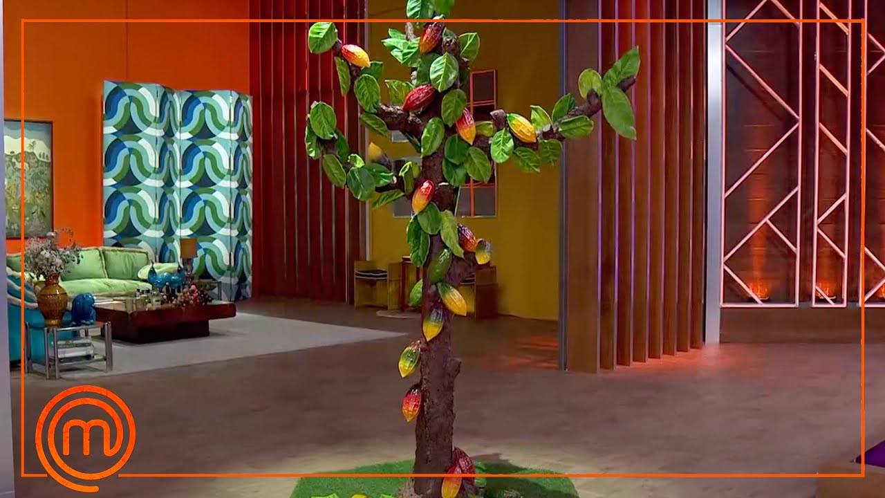 ¡¡95 KILOS DE CHOCOLATE!! El espectacular árbol del cacao que ha traído David Pallàs | MasterChef 11