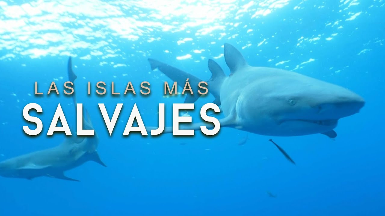 Gal&aacute;pagos: El Ed&eacute;n de Darwin
