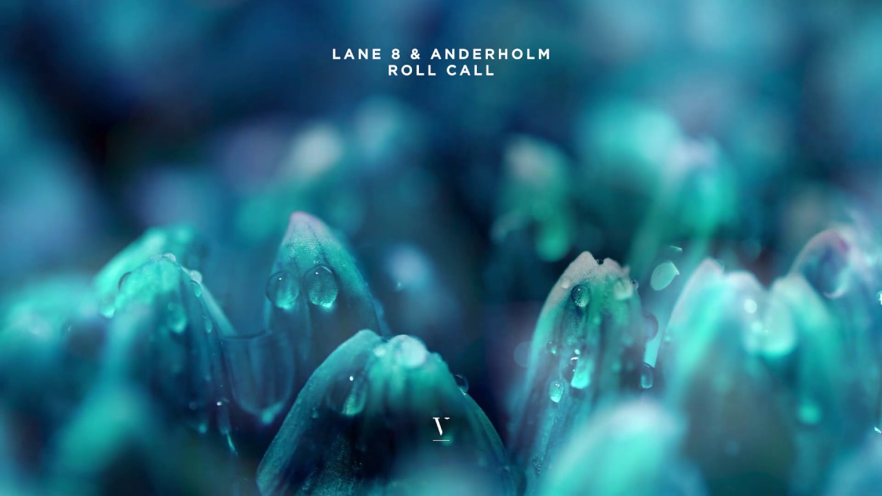 Lane 8 & Anderholm - Roll Call
