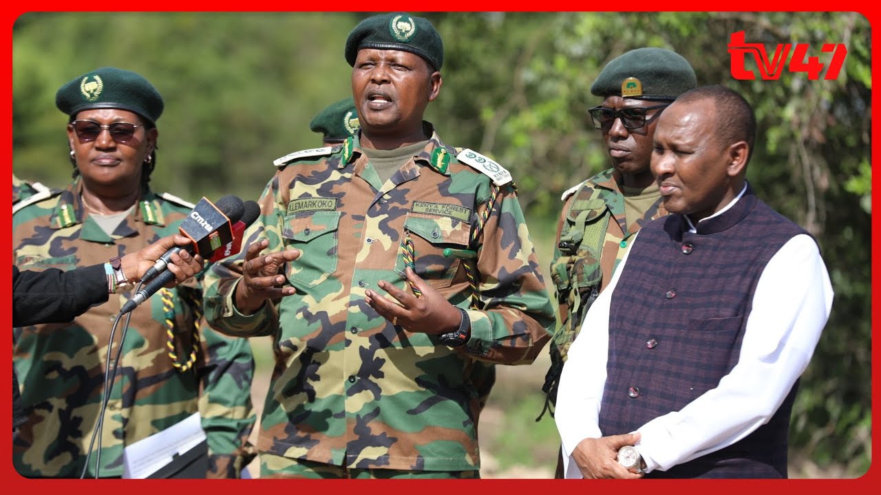 Kenya Forest Service halts construction in Ngong Forest over integrity concerns