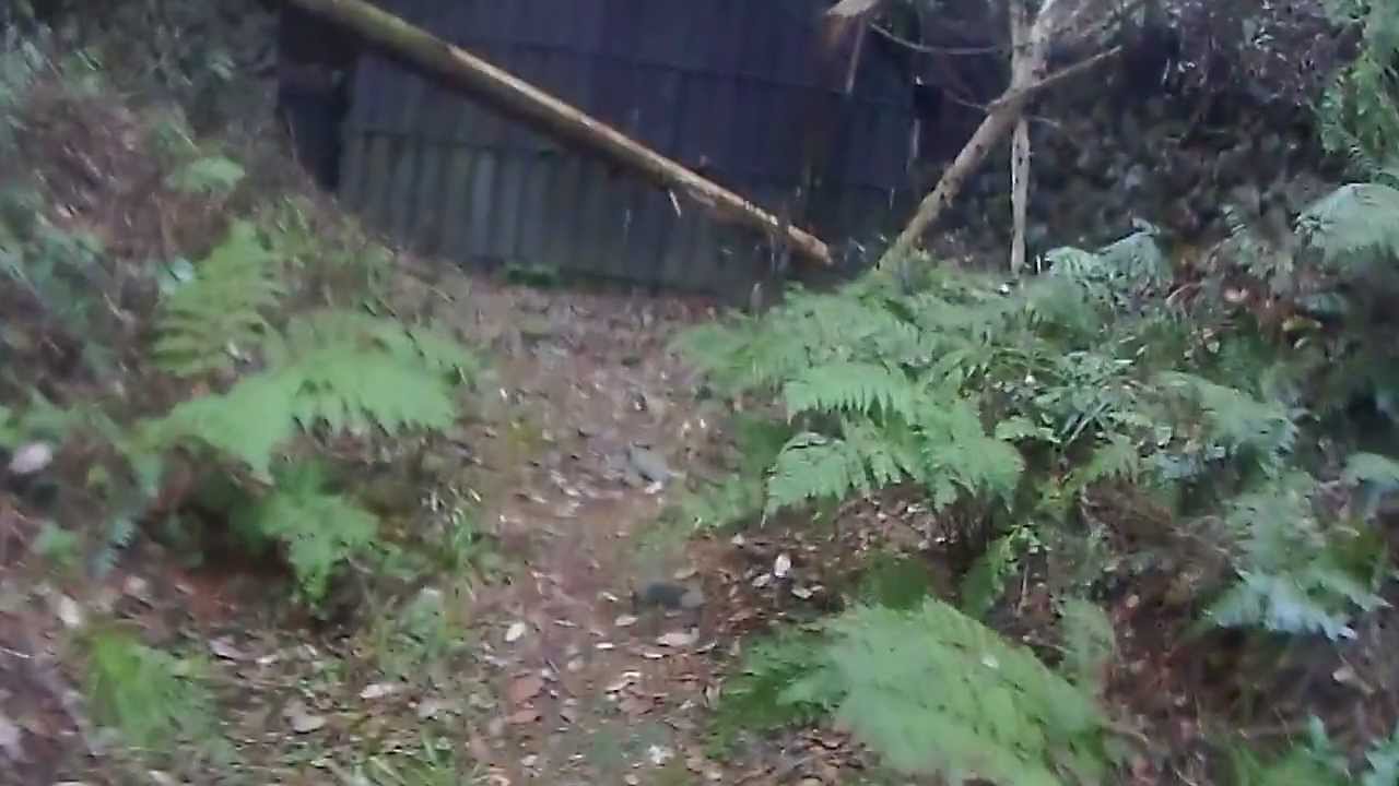 旧吹上トンネルから旧旧吹上トンネル入口まで歩いてみました