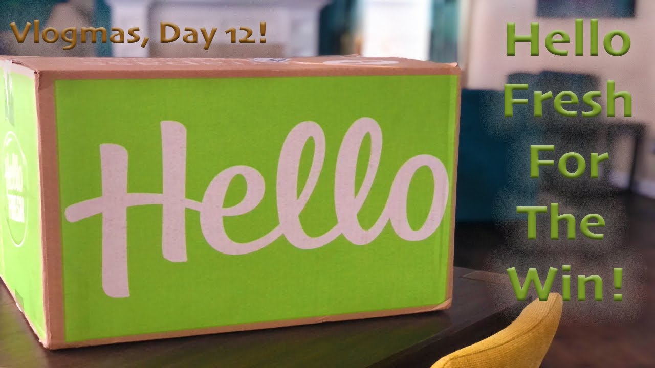 498 | @whoissugar I Finally Tried Hello Fresh! | Vlogmas, Day 12!