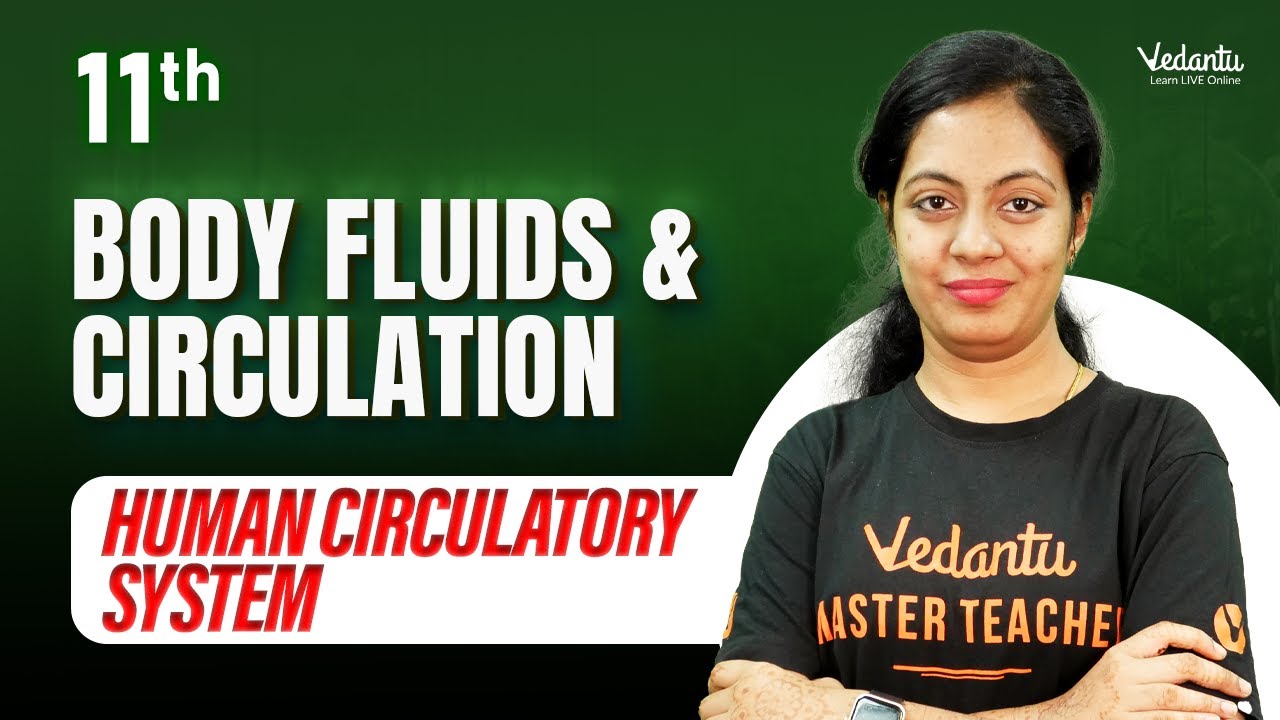 Body Fluids & Circulation: Human Circulatory System | Class 11 Biology | CBSE 2024 | Nivetha ma'am