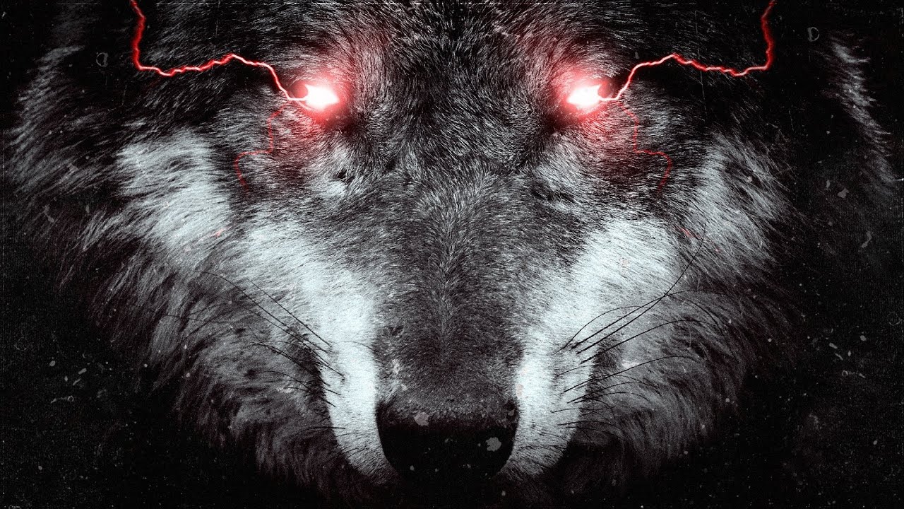 ESSA M&Uacute;SICA ACABA COM A TRISTEZA E TE TORNA MAIS FORTE 💪🏻🐺🔥