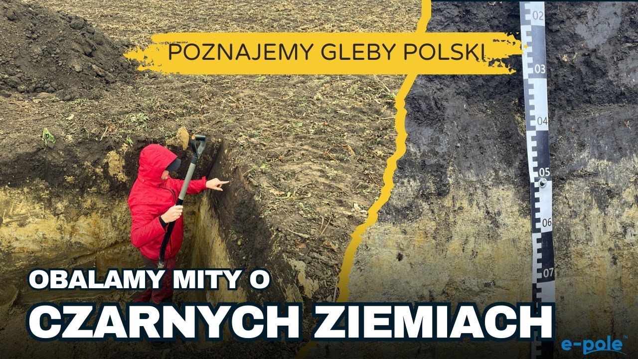Czarne ziemie wrocławskie, gleby znane z MIT&Oacute;W!