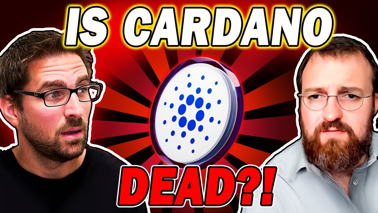 &laquo;Лучший год в истории Cardano&raquo;
