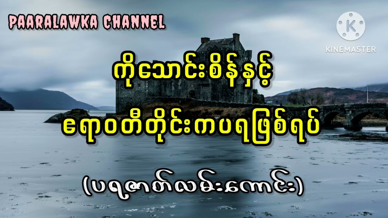 ကိုသောင်းစိန်နှင့်ဧရာဝတီတိုင်းကပရဖြစ်ရပ် 