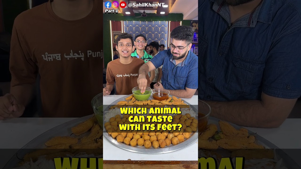 GK Animal Challenge For Unlimited Eating Ram Laddoo 🤩😋 | P-1 | #foodchallenge #gkchallenge