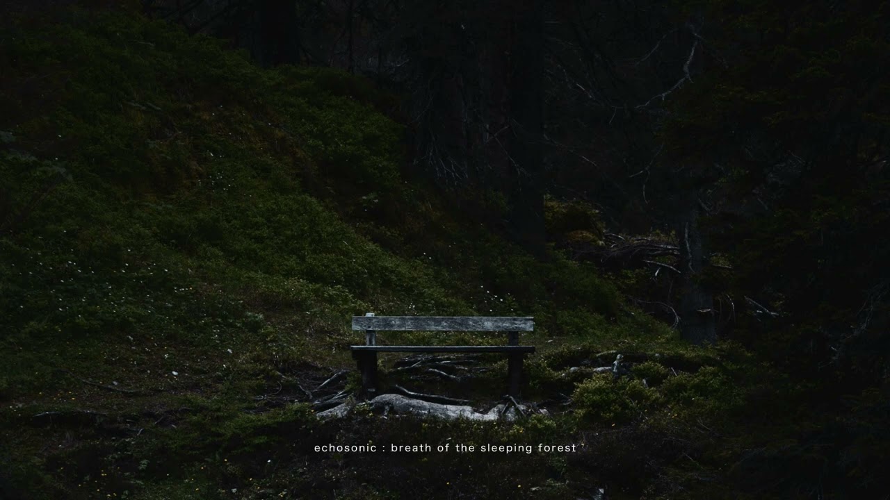 Return to the Inner Horizon | Dreamlike Sound for Self Reflection