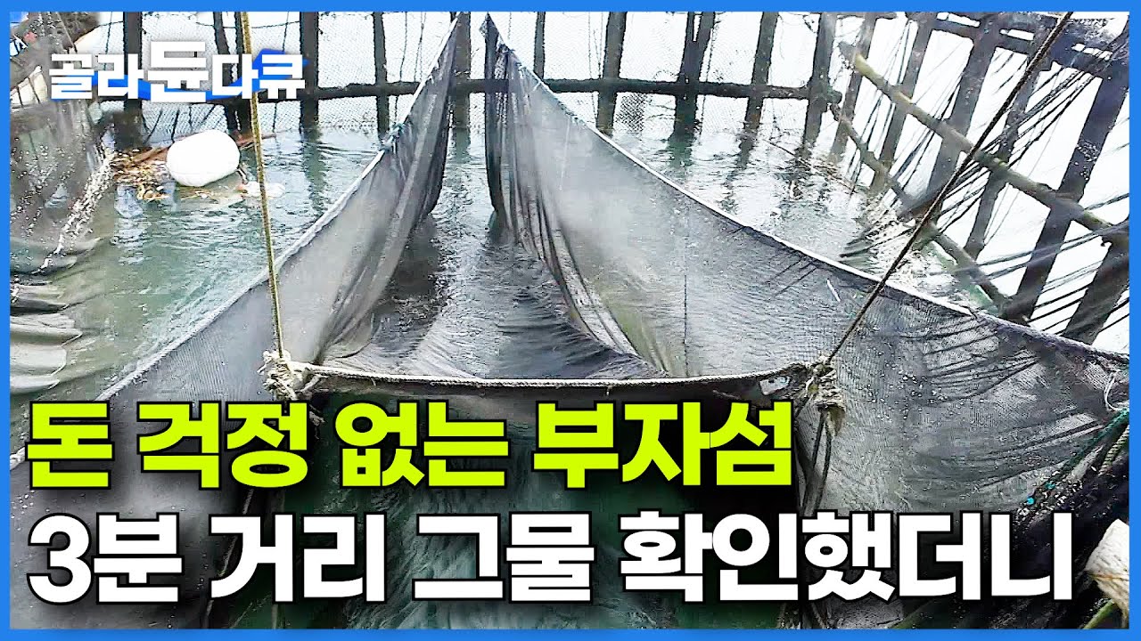 한 번도 돈 걱정 해본 적 없는 풍요의 섬. 집 앞에 쳐 놓은 그물 확인했더니 놀라운 결과｜한국기행｜#골라듄다큐