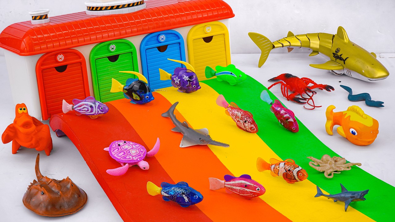 Satisfied unboxing aquarium robot fish magnetic fish live fish fishing set ASMR | toy evaluation