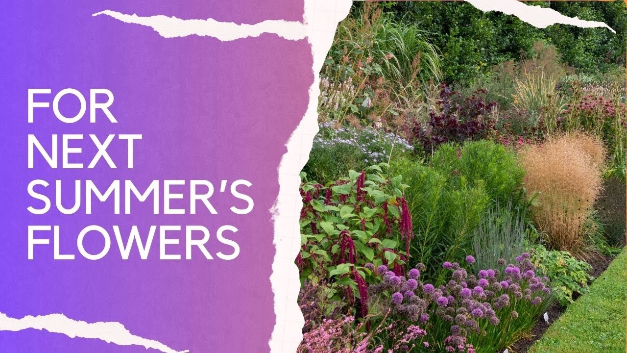 What to do in your garden borders now... key jobs for autumn (fall) and spring